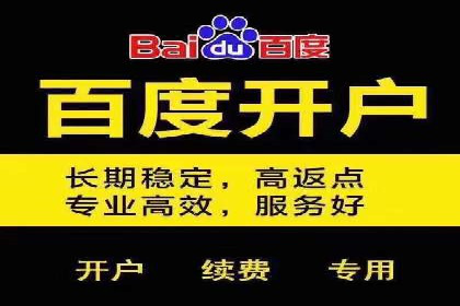 百度竞价广告投放策略：案例分析及效果评估